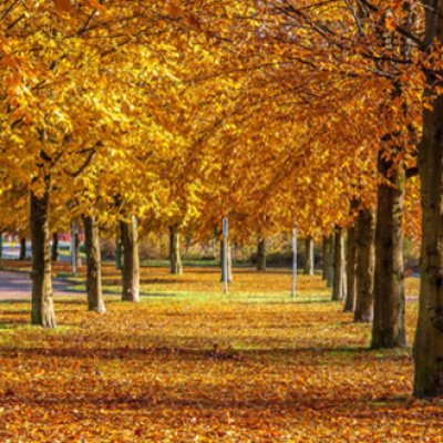 10 reasons why autumn in London is the best image