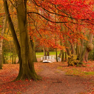 Great locations to catch the autumn leaves image