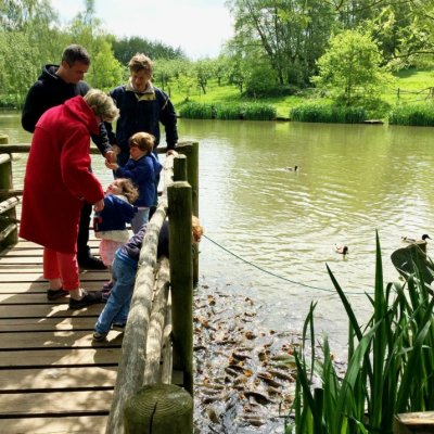 My Top 5 Picks for a Family Day Out in Surrey image